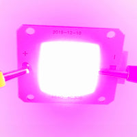 G28229 ^ Amazing 50 Watt 14V Full Spectrum 380-840nm Grow Light LED