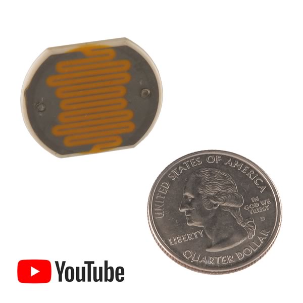 G25306 Giant CDS Cell The Electronic Goldmine