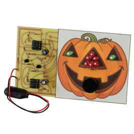 C6783 - Haunted Pumpkin Kit