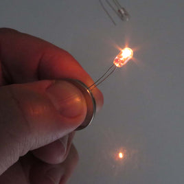 G27655 - (Pkg 5) Grain of Wheat 3V 100mA Incandescent Lamp