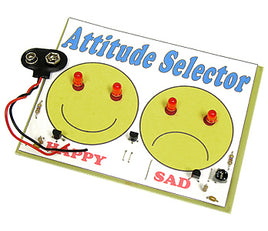 C6776 -** Attitude Selector Kit
