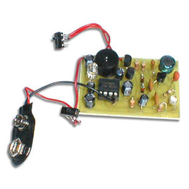 C6924 - Compact Lightning Detector Kit
