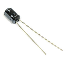 H0021 - 100 uF Electrolytic Capacitor